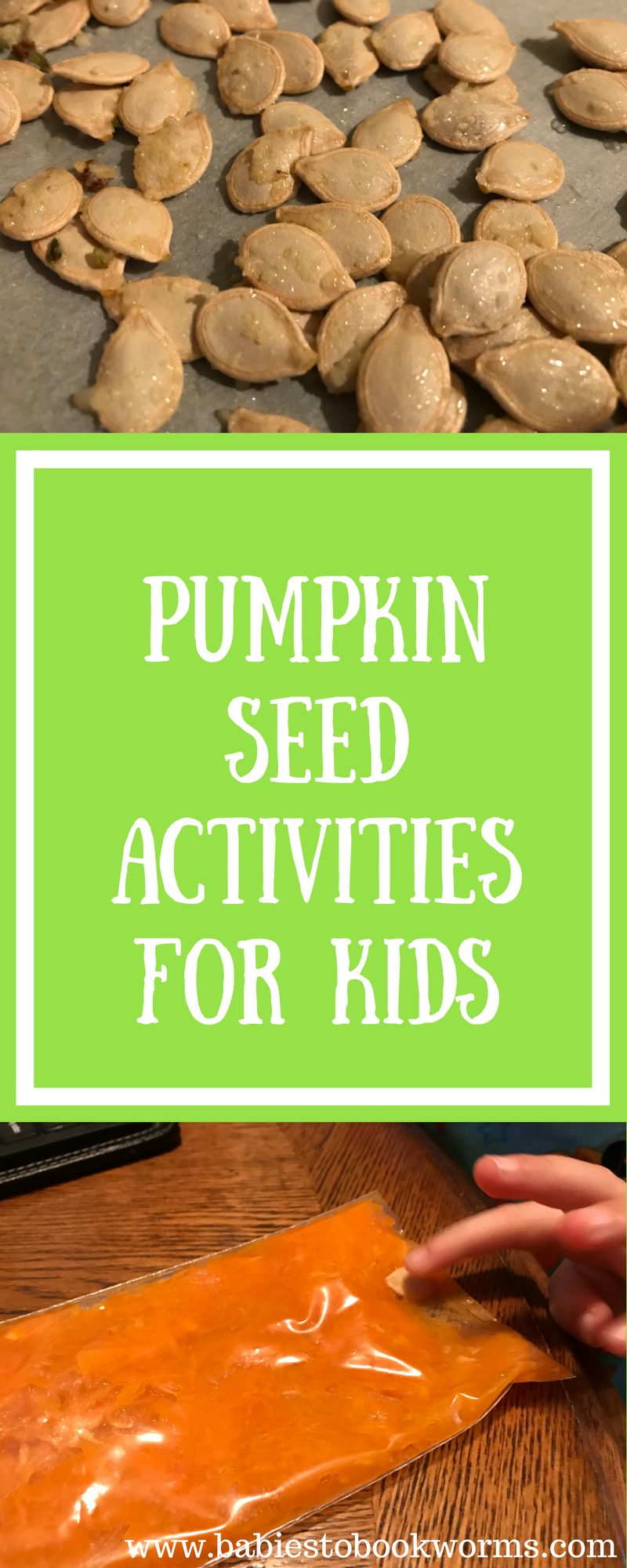 How many seeds in a pumpkin counting pumpkin seeds babies to bookworms