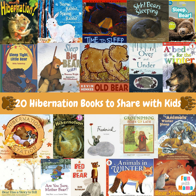 bear hibernation books